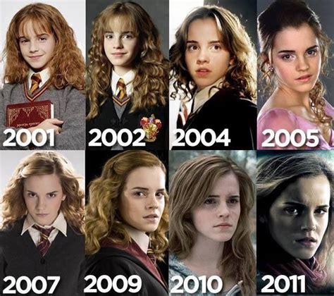 Hermione Granger Timeline Timeline